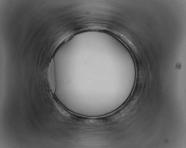 X0000098081281200804251505