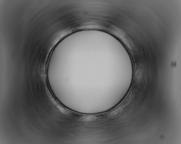 X0000098081282200804251505