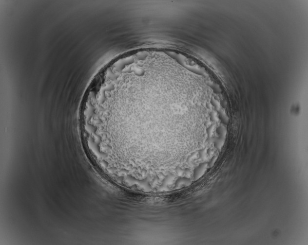 X0000098081283200804251505