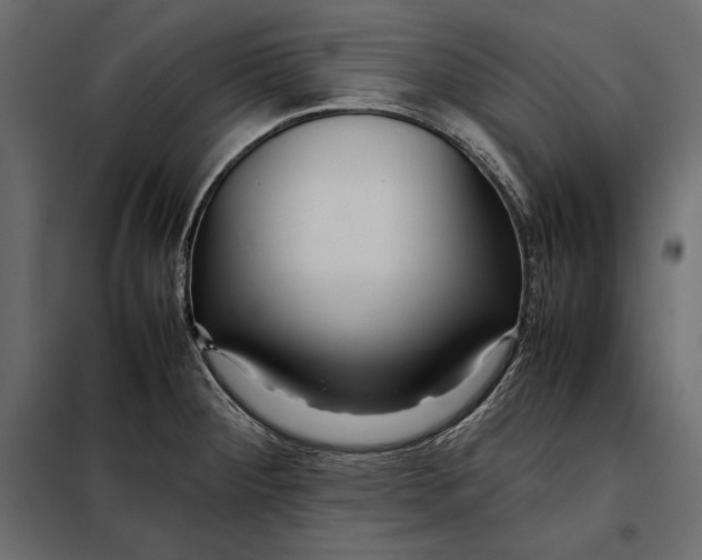 X0000098081284200804251505