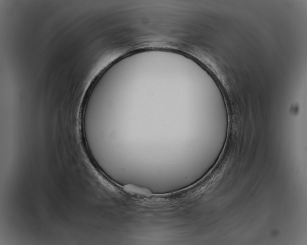 X0000098081285200804251505