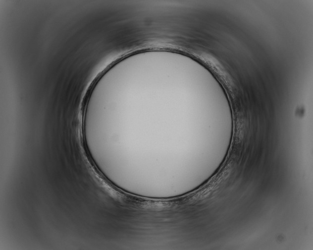 X0000098081286200804251505