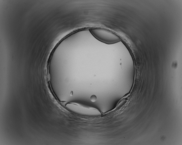 X0000098081287200804251505