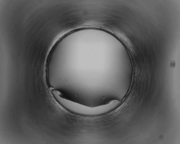 X0000098081288200804251505