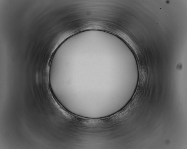 X0000098081290200804251505