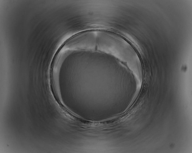 X0000098081291200804251505