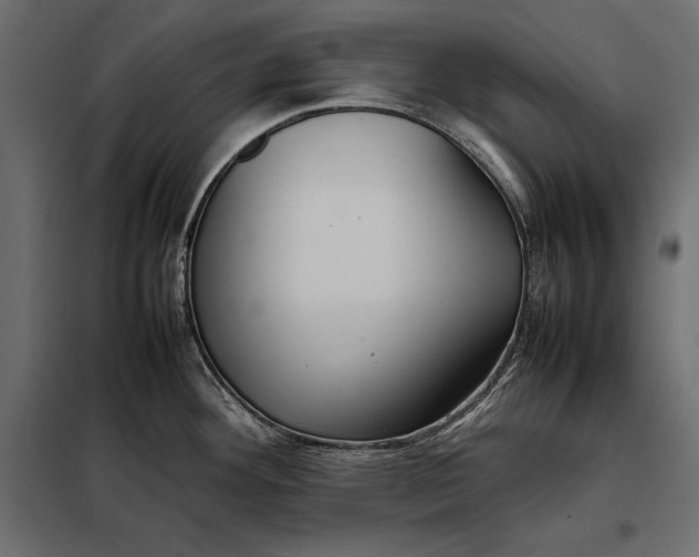 X0000098081292200804251505