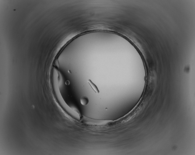 X0000098081293200804251505