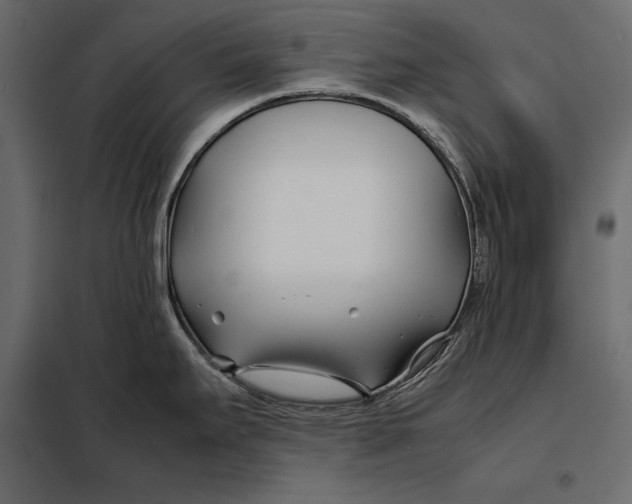 X0000098081295200804251504