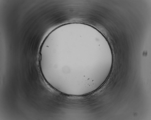 X0000098081296200804251504