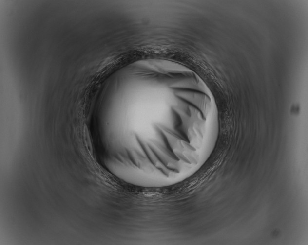 X0000098081297200804251504