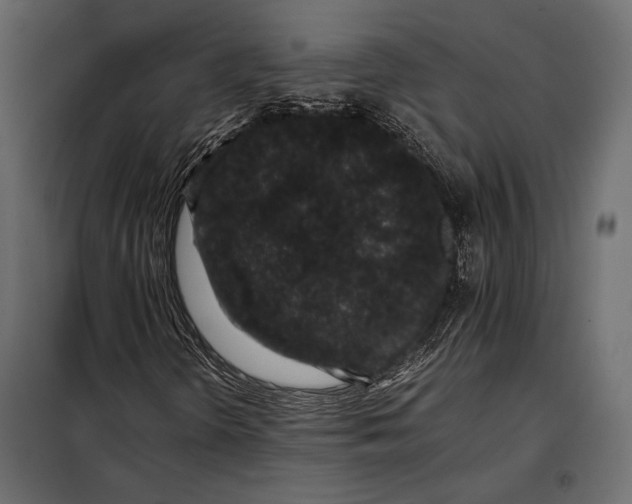 X0000098081298200804251504