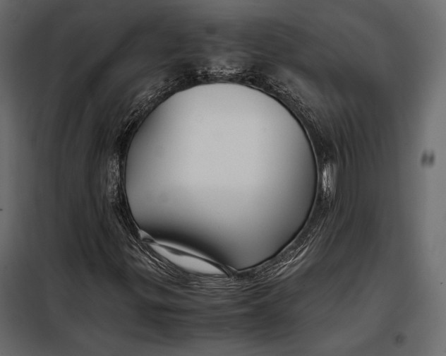 X0000098081299200804251504