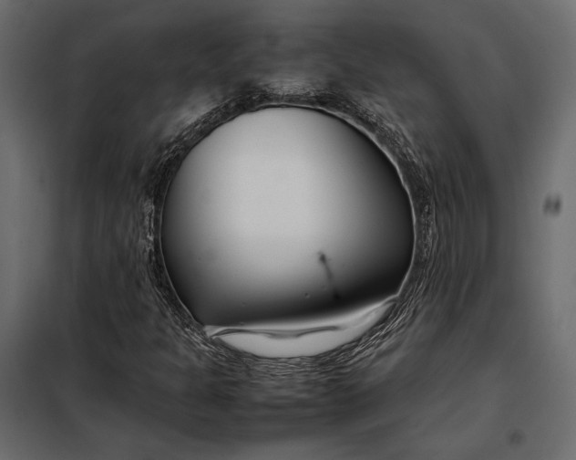 X0000098081301200804251504