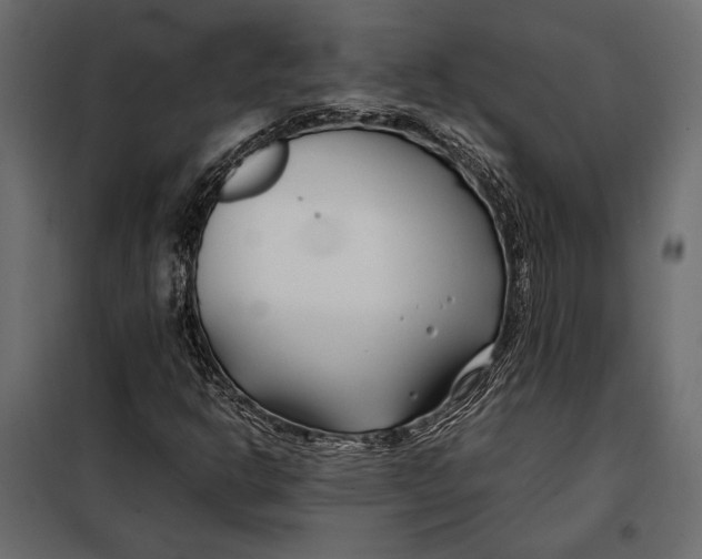 X0000098081302200804251504