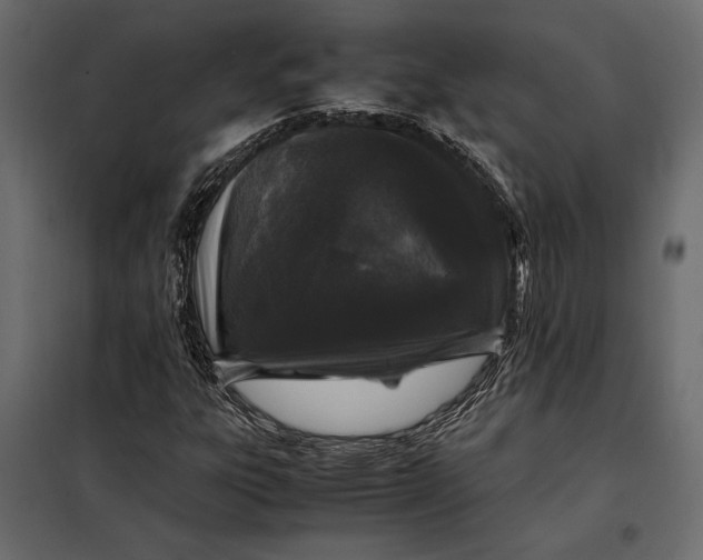 X0000098081303200804251504