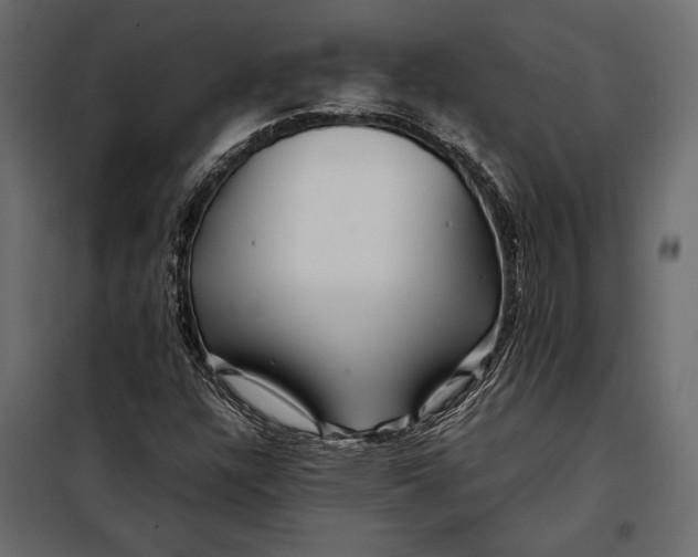 X0000098081304200804251504