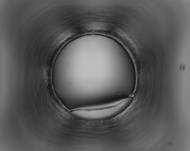 X0000098081305200804251504