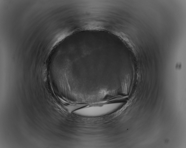 X0000098081306200804251504