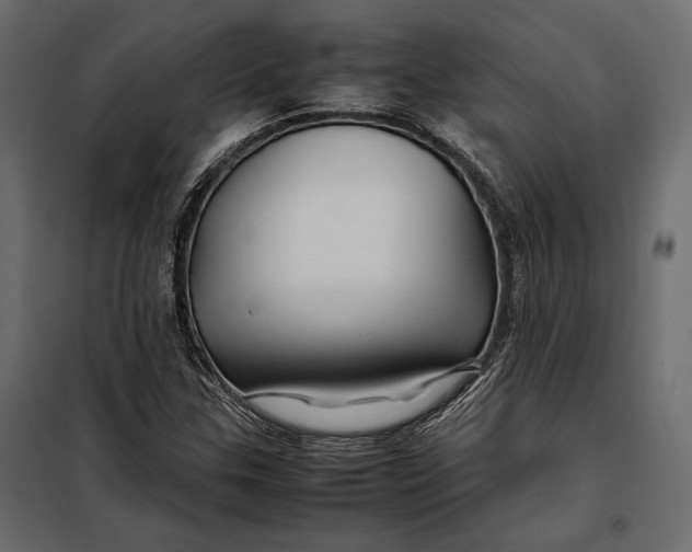 X0000098081307200804251504