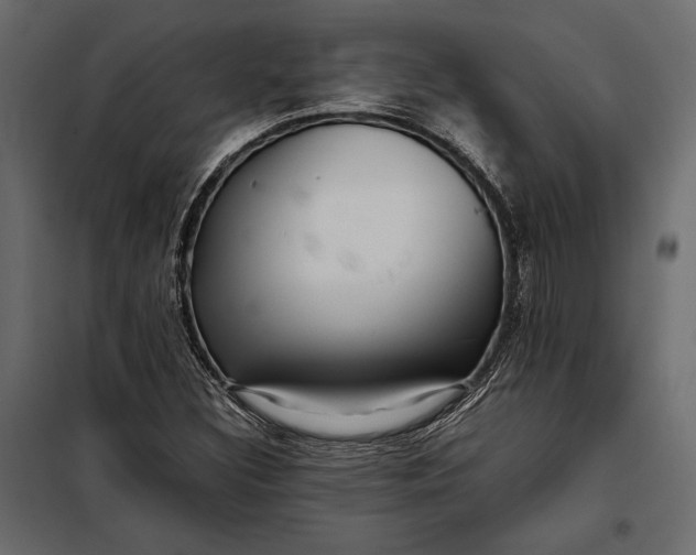 X0000098081308200804251504