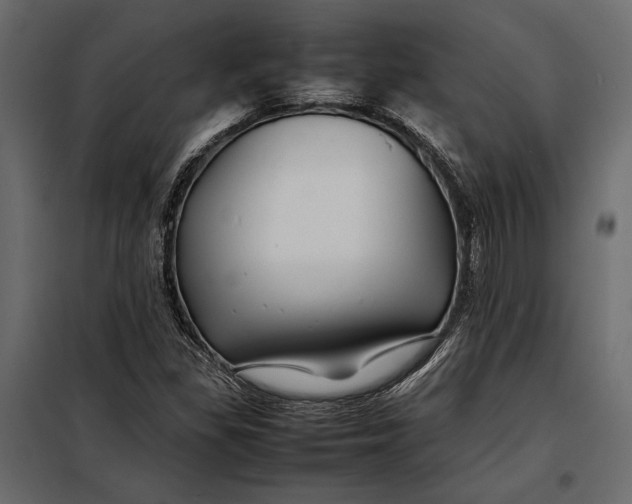 X0000098081309200804251504