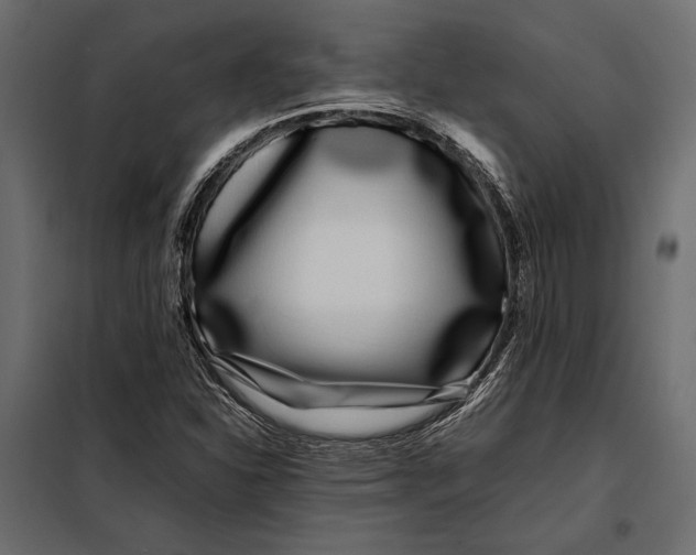 X0000098081310200804251504