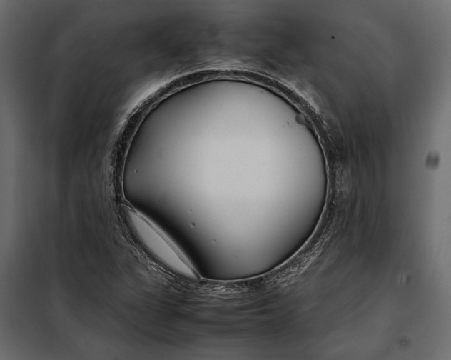 X0000098081311200804251504