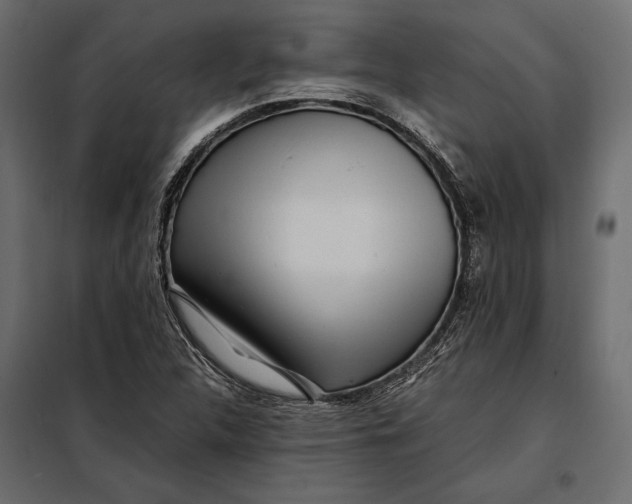 X0000098081312200804251504