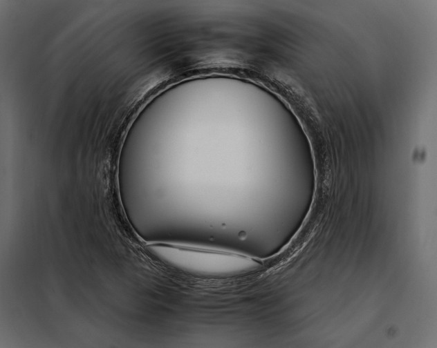 X0000098081313200804251504