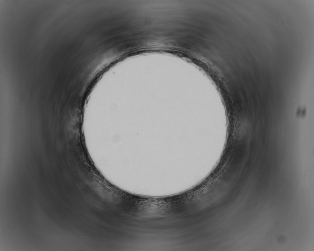 X0000098081314200804251504