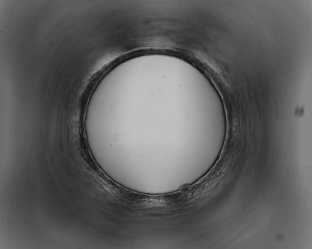 X0000098081315200804251504