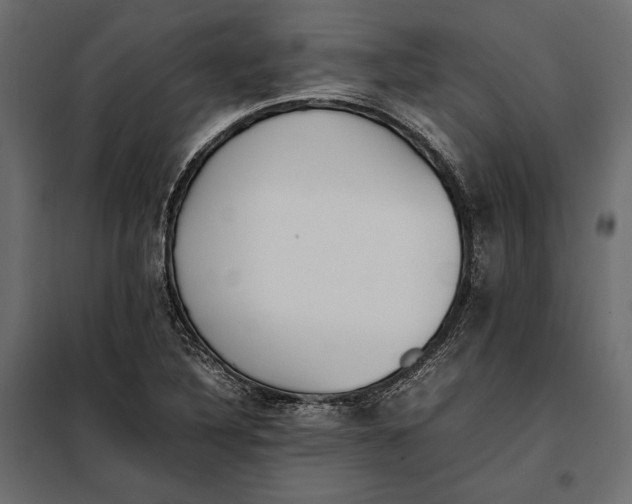 X0000098081316200804251504