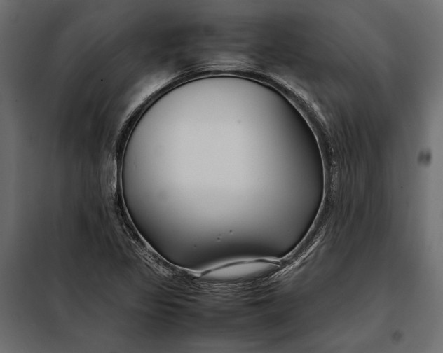 X0000098081317200804251504