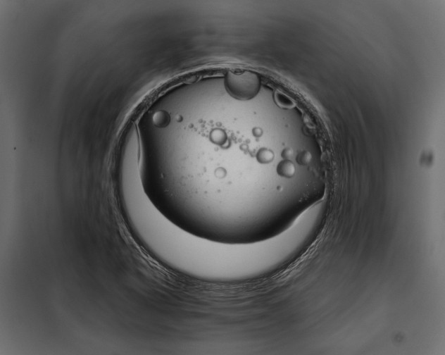 X0000098081318200804251504