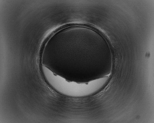 X0000098081319200804251504