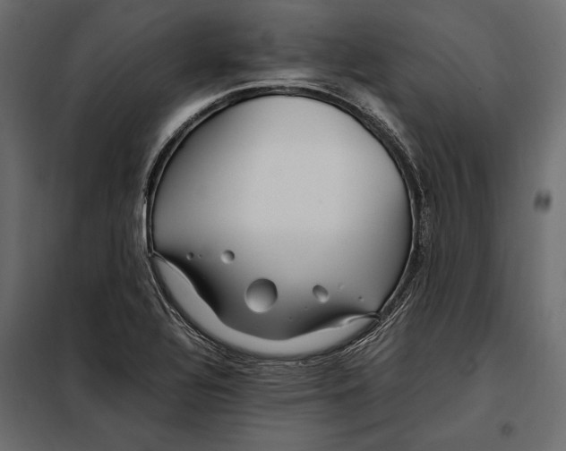 X0000098081320200804251504