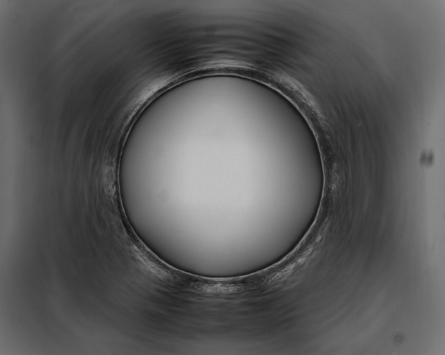 X0000098081321200804251504