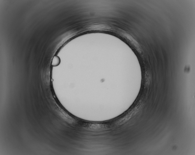 X0000098081322200804251504