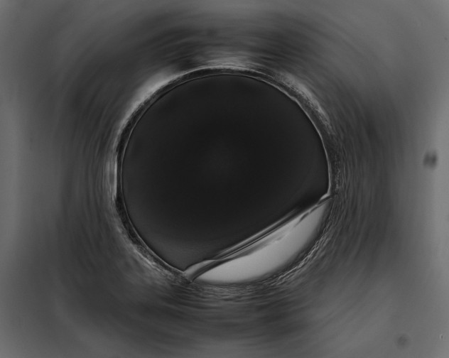 X0000098081323200804251504