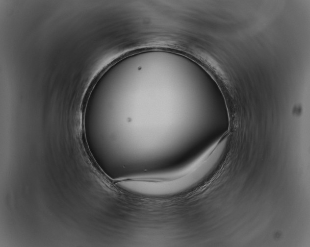 X0000098081324200804251504