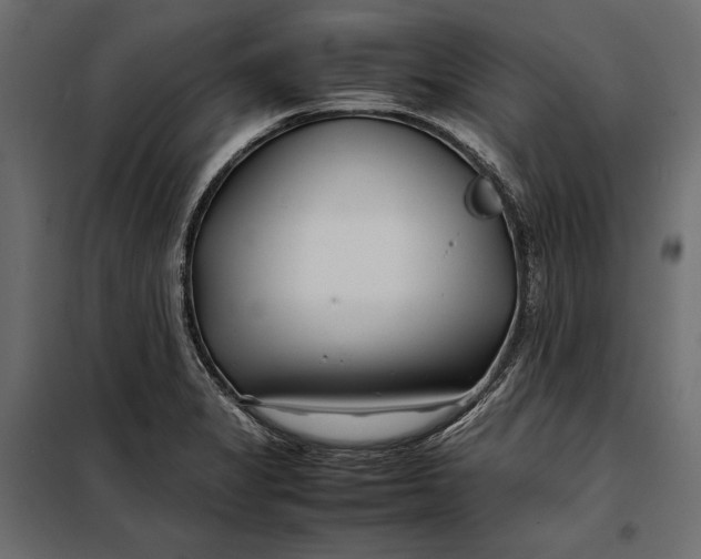 X0000098081325200804251504