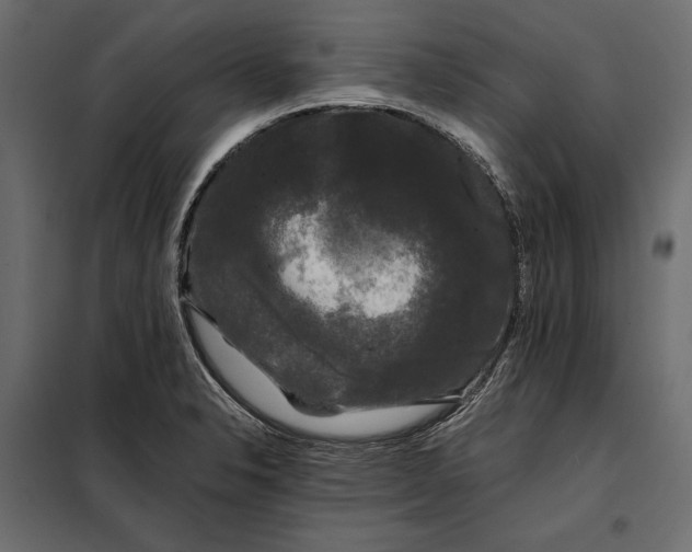 X0000098081326200804251504