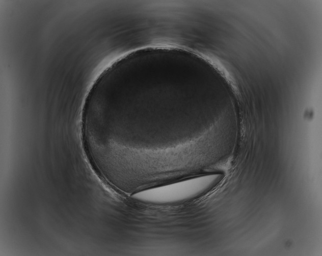 X0000098081327200804251504