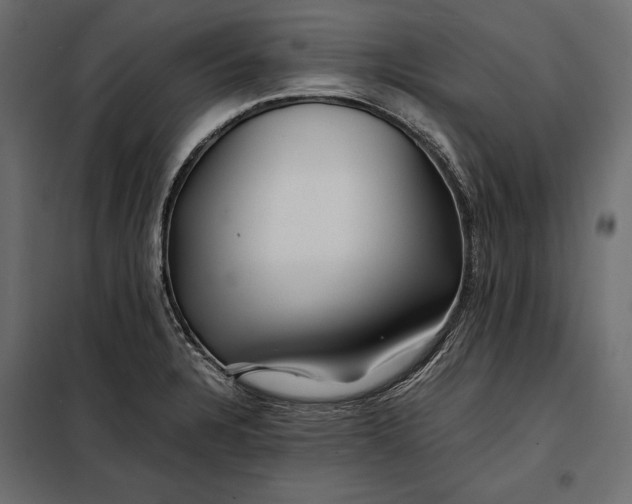 X0000098081328200804251504