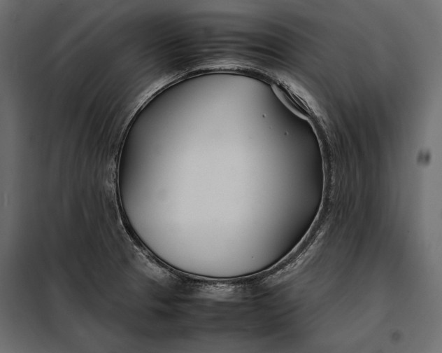 X0000098081329200804251504