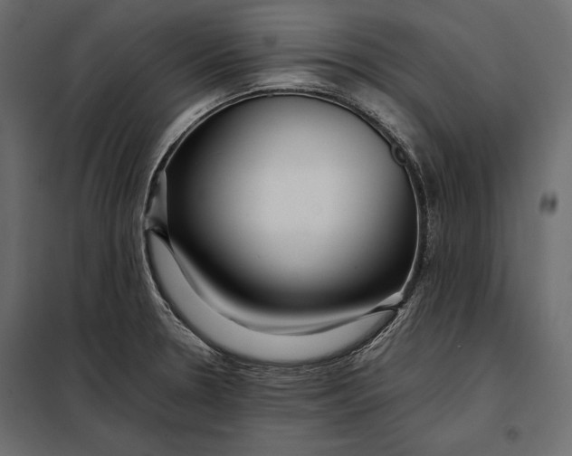 X0000098081330200804251504