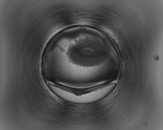 X0000098081331200804251504