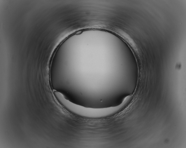 X0000098081332200804251504