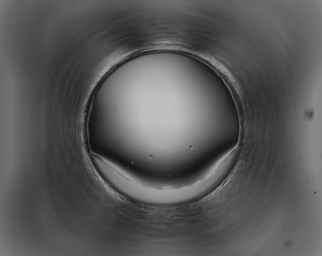 X0000098081333200804251504